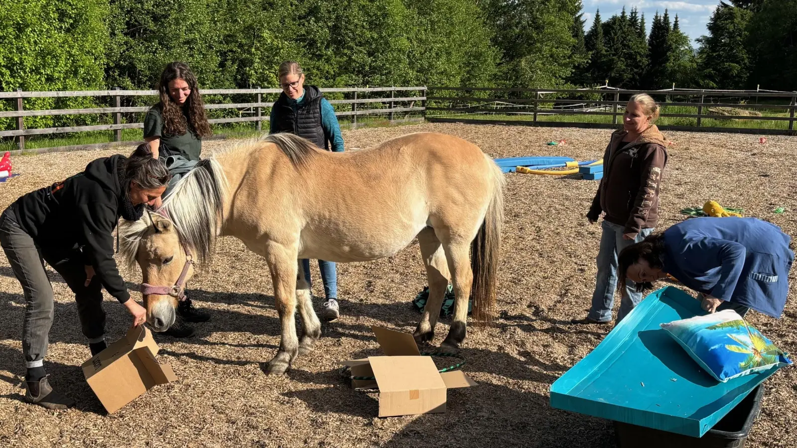 Auf dem Foto von links Manuela Beck, Anja Reuter, Anika Baumeister, Susi Gold und Katja Süß mit Therapiepferd Fina beim gemeinsamen Erkunden (Bild: Anja Reuter)