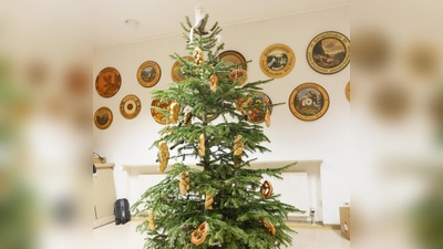 Jedes Jahr ein Highlight. Der reichlich geschmückte Christbaum macht den Abschluss.  (Bild: Tobias Becht )