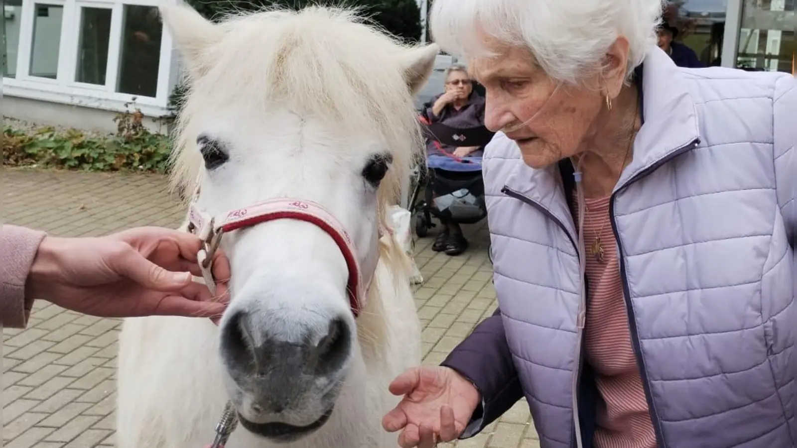 Begegnung mit Pony „Jimmy” bewegte Heimbewohnerin zum Gedicht (Bild: Manuela Hirschmann)