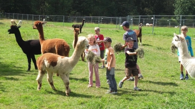 Ferienprogramm auf dem Alpakahof. (Bild: Uwe Muckenschnabel)