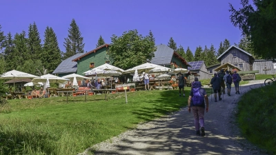 Wanderer vor dem Ziel, dem Seehaus. (Bild: Klaus Peter Rohrer)