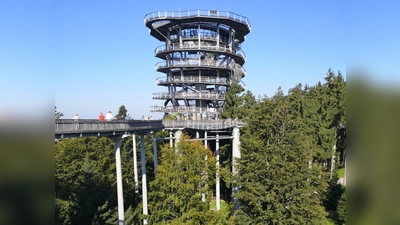 Aufnahme vom Waldwipfelweg (Bild: Wolfgang Graser)