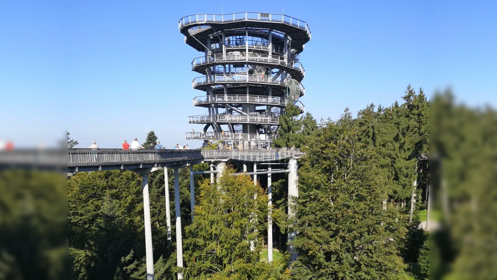 Aufnahme vom Waldwipfelweg (Bild: Wolfgang Graser)