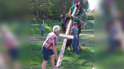Kindermaibaum Beidl. (Bild: Josef Bauer)