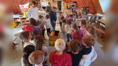 Bienenworkshop (Bild: Andrea Wolfram)