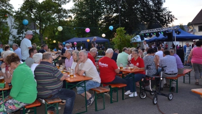 Die Musiker freuen sich über die vielen Besucher und die gute Stimmung. (Bild: gi)