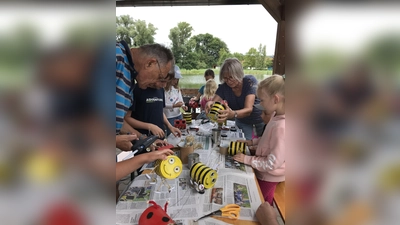 Diese tollen Dosenbienen und - marienkäfer wurden zu Insektenhotels. (Bild: Marianne Moosburger)