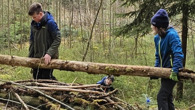 Die Schüler brachten sich beim Waldpädagogiktag der Realschule im Stiftland aktiv ein. (Bild: Barbara Strenge/exb)