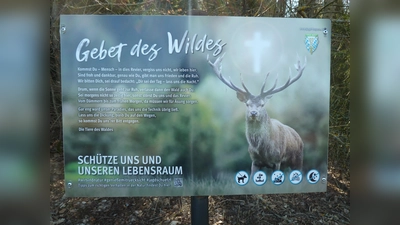 Diese Hinweisschilder sieht man des Öfteren am Waldesrand stehen. (Bild: Birkner/exb)