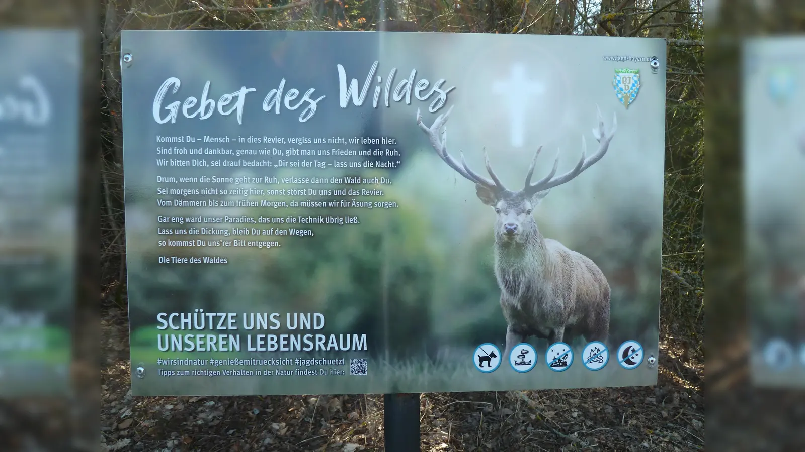 Diese Hinweisschilder sieht man des Öfteren am Waldesrand stehen. (Bild: Birkner/exb)