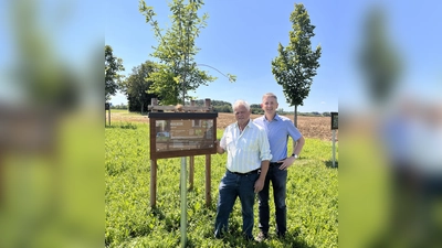 Albert Geitner (rechts) und Biodiversitätsbeauftragter Johann Schmaußer vor der neu gepflanzten Mehlbeere (Bild: Regina Kießling)