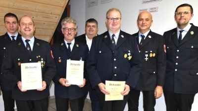 Ehrungen für langjährige Mitgliedschaft bei der Feuerwehr Illschwang: (von links) Vorsitzender Michael Maderer, Georg Graf (40 Jahre), Andreas Geitner (50 Jahre), Bürgermeister Dieter Dehling, Martin Bauer (40 Jahre), Konrad Hochholzer (40 Jahre) sowie Kommandant und Kreisbrandmeister Thorsten Jobst. (Bild: no)