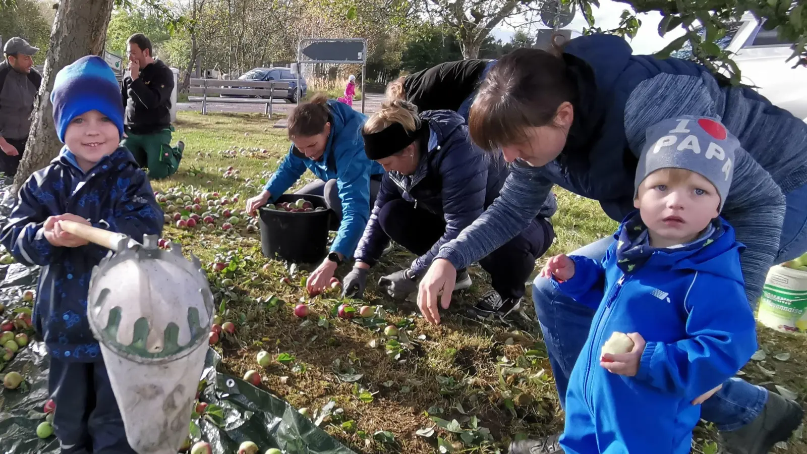 Eltern und Kinder sammelten fleißig Äpfel  (Bild: Thomas Bartmann )