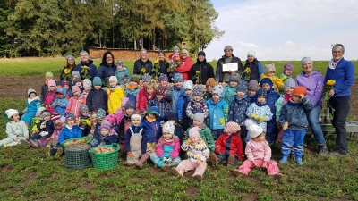 Die St.-Elisabeth-Kindergartenkinder der roten, gelben und blauen Gruppe mit ihren Erzieherinnen und Kindergartenleiterin Stefanie Unterburger (hinten, siebte von links) auf dem Kartoffelfeld. (Bild: Heidi Banzer)