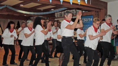 Für Stimmung und Unterhaltung sorgten das Geschwister-Trio Baier und die Linedance-Tanzgruppe ToP-Trupp.  (Bild: Lisa Weidner)