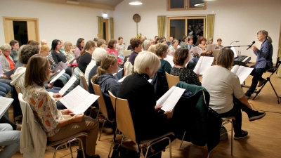 Professionelle Anweisungen und Tipps für einen harmonischen Chorgesang erhielten die Sängerinnen und Sänger der verschiedenen Chöre von der Komponistin und Liedermacherin Kathi Stimmer-Salzeder (am Mikrofon).  (Bild: Irmgard Glaser )