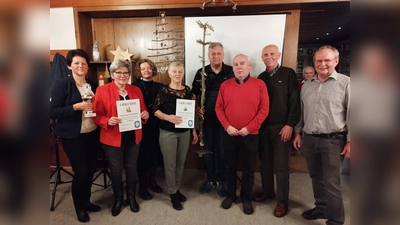 Bei der Nordic-Walking-Abteilung des TSV Pressath stehen Ehrungen an (von links): die Walkerin des Jahres Karin Kroher (mit Pokal), die Trainingsfleißigsten Marianne Wittmann und Hildegard Elstner (mit Urkunden) und die Trainer.  (Bild: Irmgard Graser/exb)