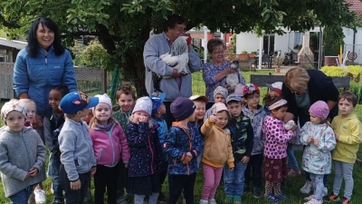 Ein tolles Erlebnis für die Kindergartenkinder war der Besuch bei der Hühnerzüchterfamilie Weiß. (Bild: Daniela Burger/exb)