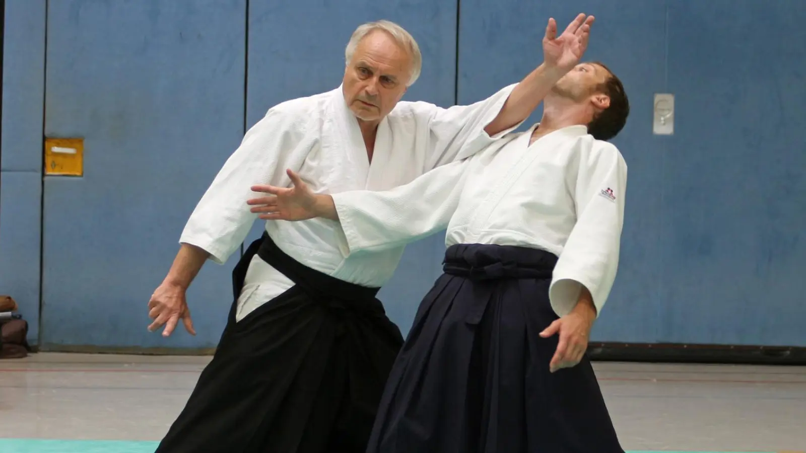 Harmonische Bewegungen im Zusammenspiel mit dem Trainingspartner bilden eine wichtige Grundlage im Aikido. (Bild: Gottfried Fröhlich)