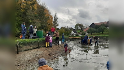 Die Kinder unterstützen Familie Maier beim Abfischen. (Bild: Daniela Kielhorn/exb)