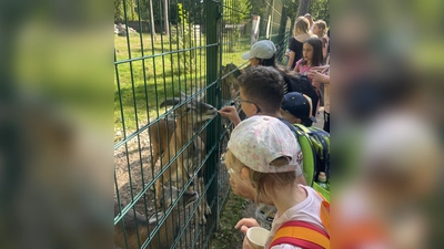 Ausflug in den Wildpark (Bild: Christine Härtl)