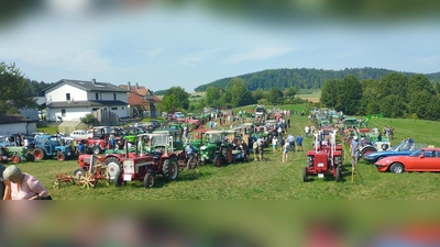 Backofenfest in Prönsdorf mit vielen Besuchern und einer Wiese voll alter Traktoren. (Bild: Theresia Guttenberger)