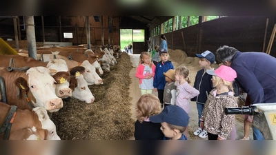 Viel Interessantes gab es auf dem Bauernhof der Familie Rosner in Kondrau zu entdecken. (Bild: Vanessa Rosner/exb)