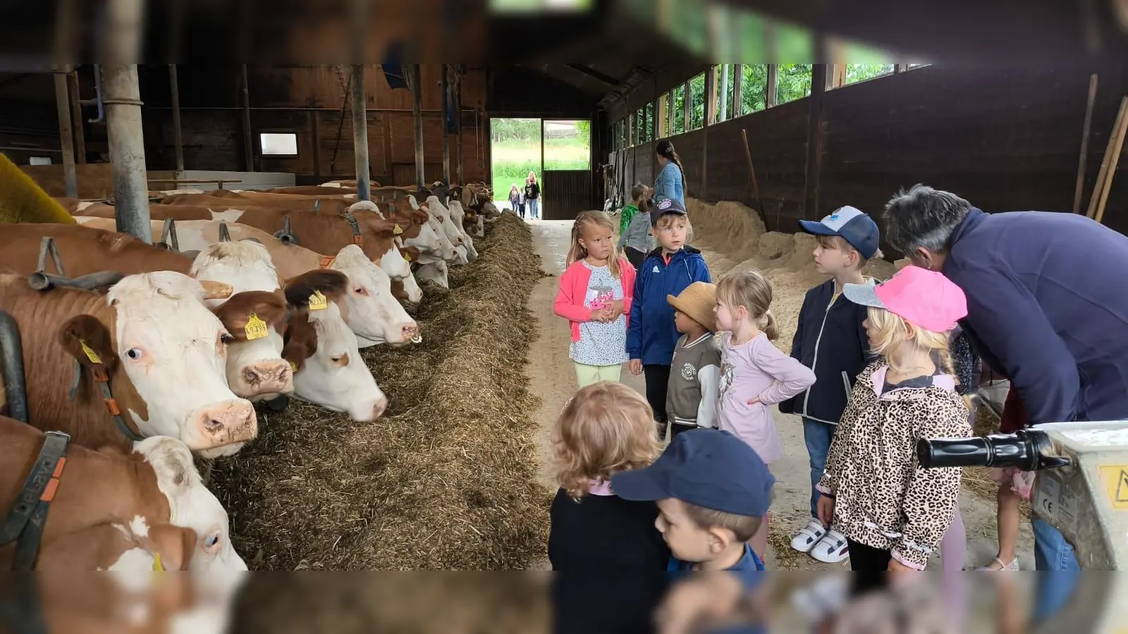 Viel Interessantes gab es auf dem Bauernhof der Familie Rosner in Kondrau zu entdecken. (Bild: Vanessa Rosner/exb)