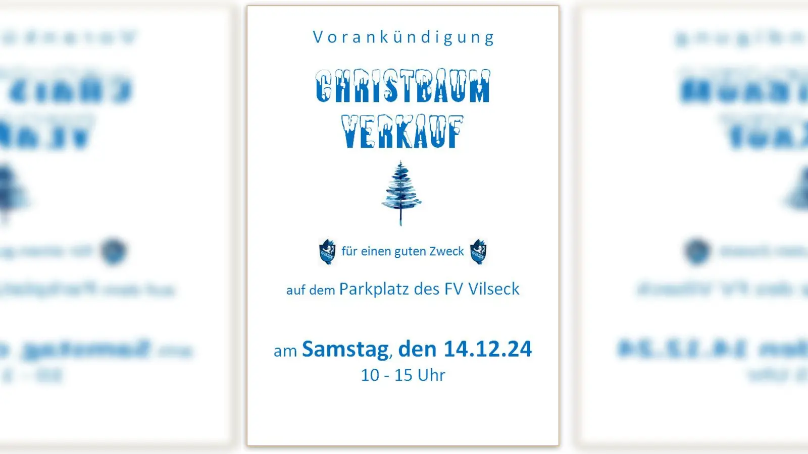 FV Vilseck Christbaumverkauf 2024 (Bild: Christian Stubenvoll)