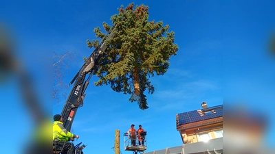 Christbaum aufstellen (Bild: Marianne Moosburger)