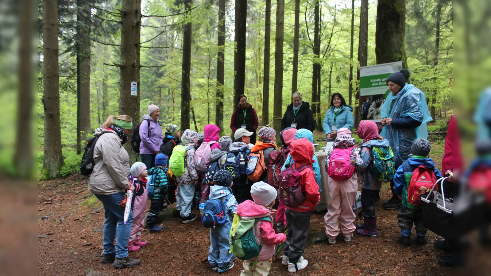 Ein Tagesausflug in den Wald. (Bild: Kindergarten St. Elisabeth Erbendorf/exb)