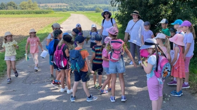 Kräuterwanderung durch die Au (Bild: M. Graf)