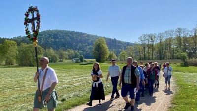 Das Kreuz voraus, im Hintergrund der Johannisberg: Die Pilger aus Freudenberg-Wutschdorf auf dem Weg nach Lintach.  (Bild: Johanna Köbler)