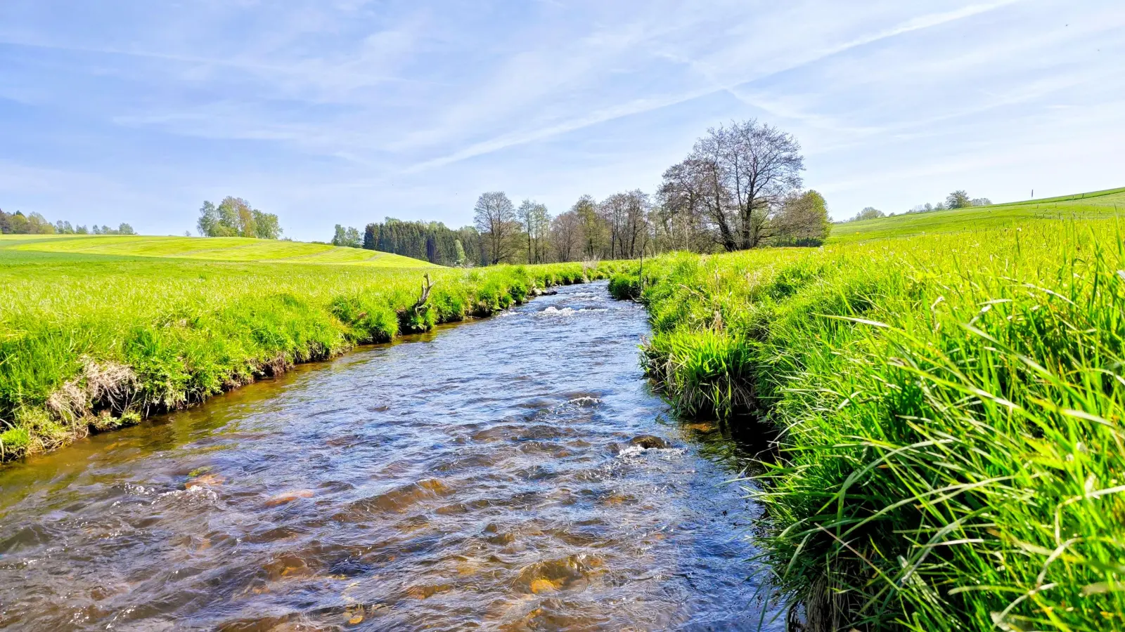 Die Tirschenreuther Waldnaab bei Hohenthan  (Bild: Markus Melzner )