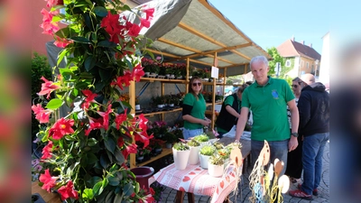 Ein kleines Blumenmeer bot sich zu Beginn der Blumentombola des Waldvereins am Muttertag in der Marktplatzanlage. (Bild: Fred Lehner)