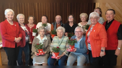 Die drei ältesten Teilnehmer wurden von der AWO-Vorsitzenden Hilde Zebisch und Schatzmeisterin Sieglinde Rehm besonders geehrt (sitzend, von links): Marie Häusler (98), Elise Kolb (95) und Elfriede Müller (94), ebenfalls die Leiterinnen der Seniorenclubs. (Bild: AWO Weiden/exb)