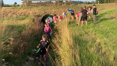 Die Abendwanderung des TSV führte bei herrlichem Sommerwetter auch durch einen erfrischenden Bachlauf. (Bild: Karl Ziegler)