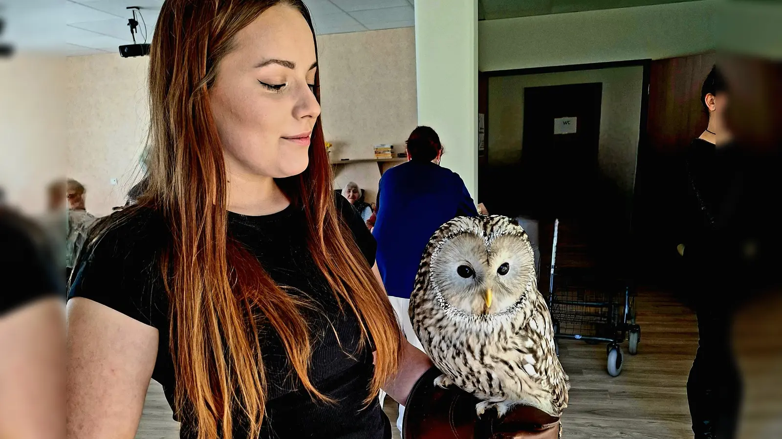 Habichtskauz „Birke” beim Besuch im Betreuten Wohnen in Kemnath.  (Bild: Ramona Müller )