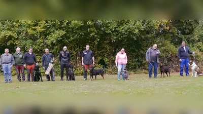 Seine Leistungsprüfung für Herbst hielt der ADRK auf dem Hundeplatz in Nabburg. (Bild: Sonja Zühlke/exb)