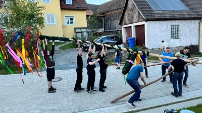 Beim Aufstellen ist Muskelkraft gefragt: Die Obersdorfer hieven den Maibaum in die Höhe. (Bild: ils)