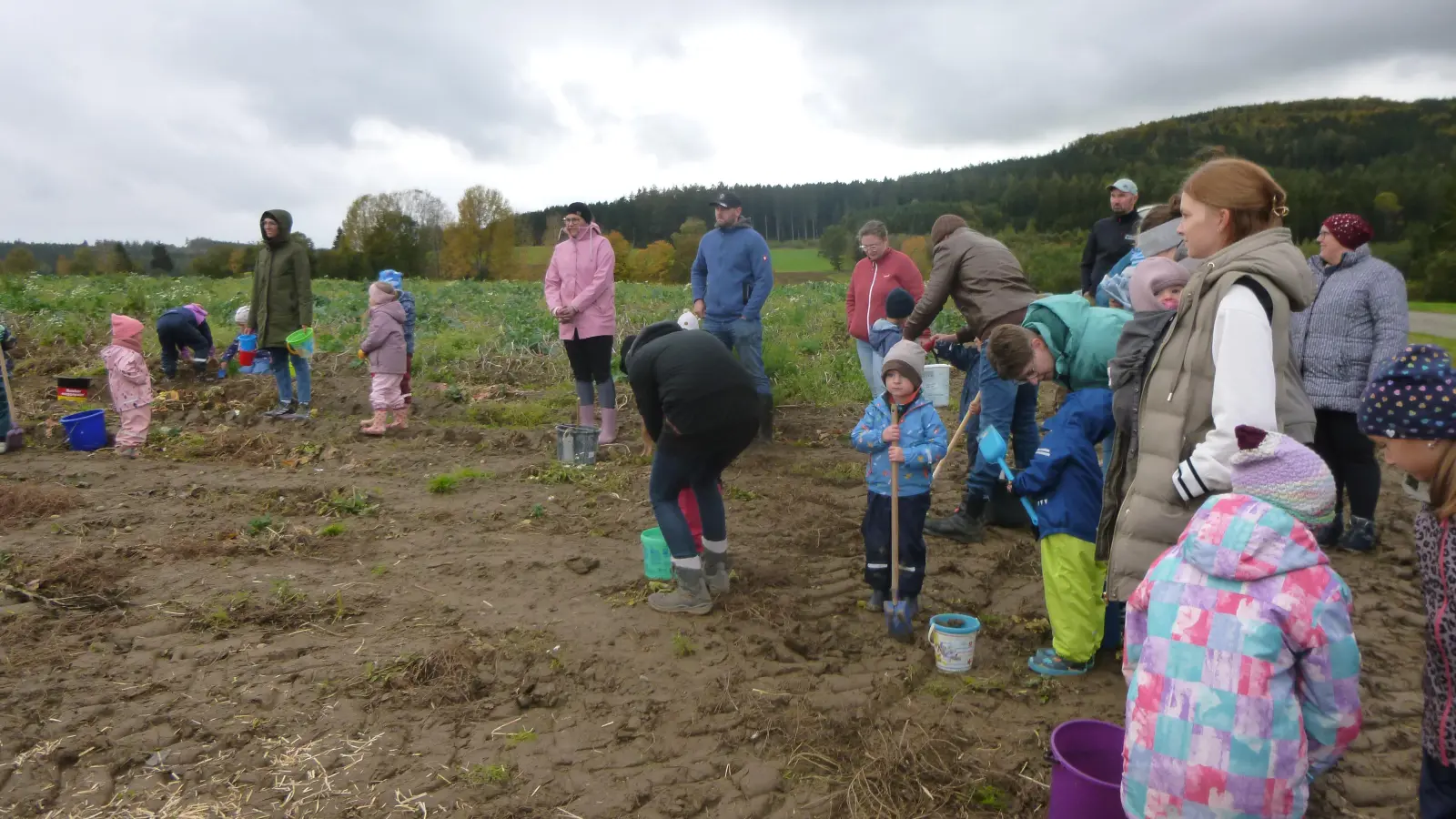 Kinder besuchen das Kartoffelfeld (Bild: Beate Schuch)