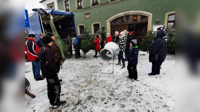 Interesse an einem Christbaum zeigen vor allem Familien mit Kindern. (Bild: gz)