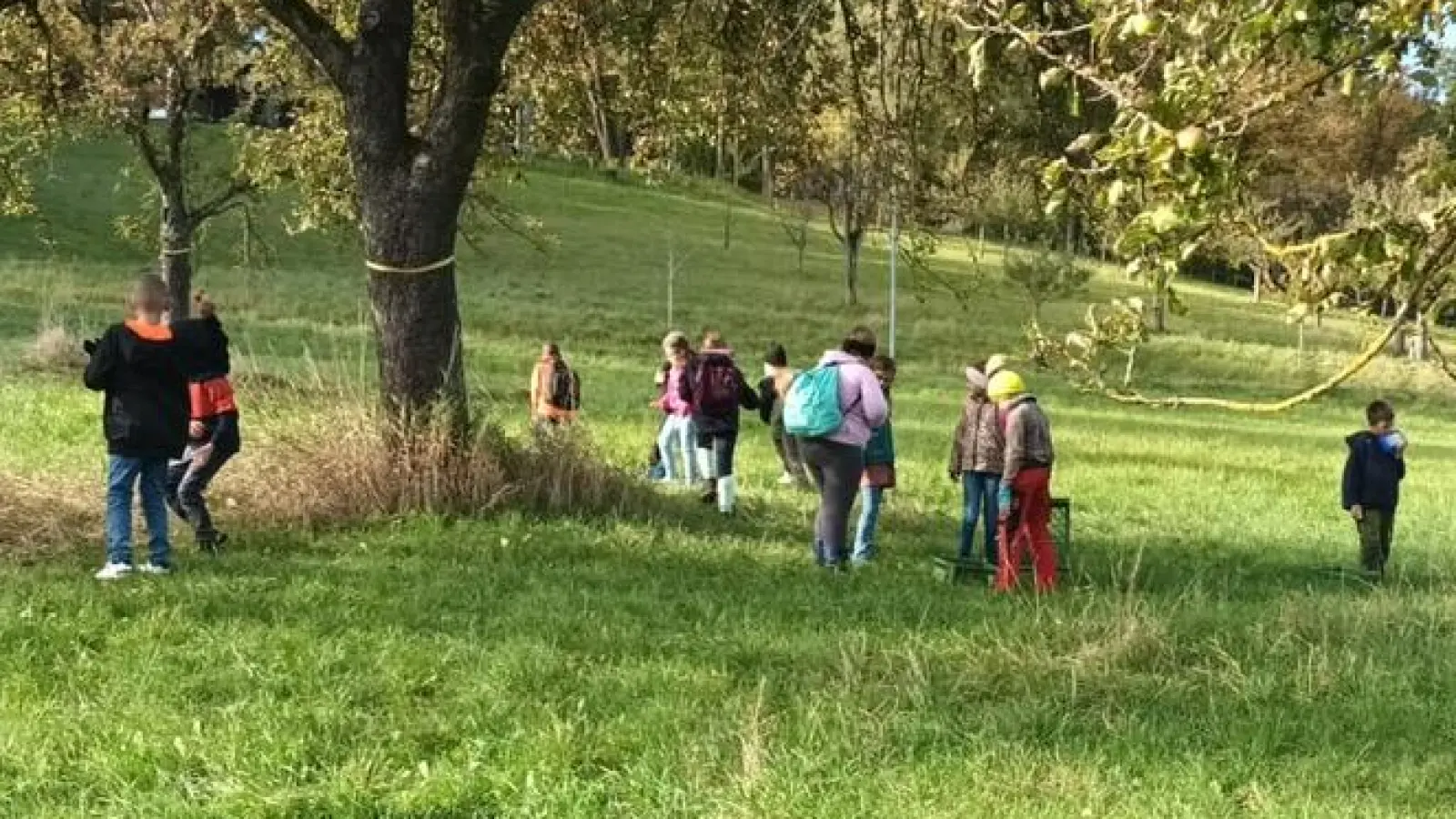 Apfelaktion der Pestalozzi-Grundschule. (Bild: Kerstin Weigl)