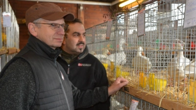 Gut besucht war am Wochenende die Geflügel-Kreisschau in Fockenfeld. (Bild: jr)