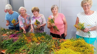 30 Ehrenamtliche haben über 1100 Buschen gebunden. (Bild: Sabine Baumeister-Kiener)