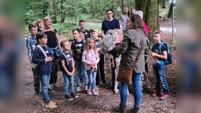 15 junge Naturforscher begaben sich auf eine Eulenwanderung im Steinwald.  (Bild: Rosa Bradtka)