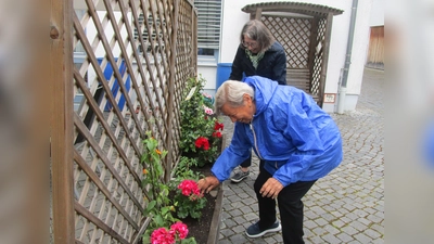 Marienheimseniorinnen legen Beete an (Bild: Daniela Donhauser)