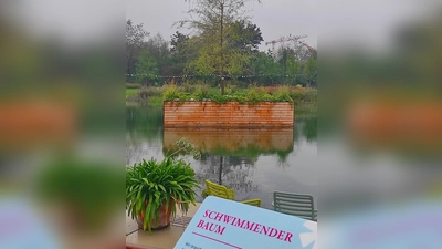 Der „schwimmende Baum” auf der Landesgartenschau in Kirchheim bei München ist eines der besonderen Highlights der Ausstellung. Es handelt sich dabei um einen Baum, der auf einer speziell angefertigten Plattform auf dem neu angelegten Parksee platziert ist und somit auf dem Wasser zu schweben scheint. (Bild: Gerhard Löckler)