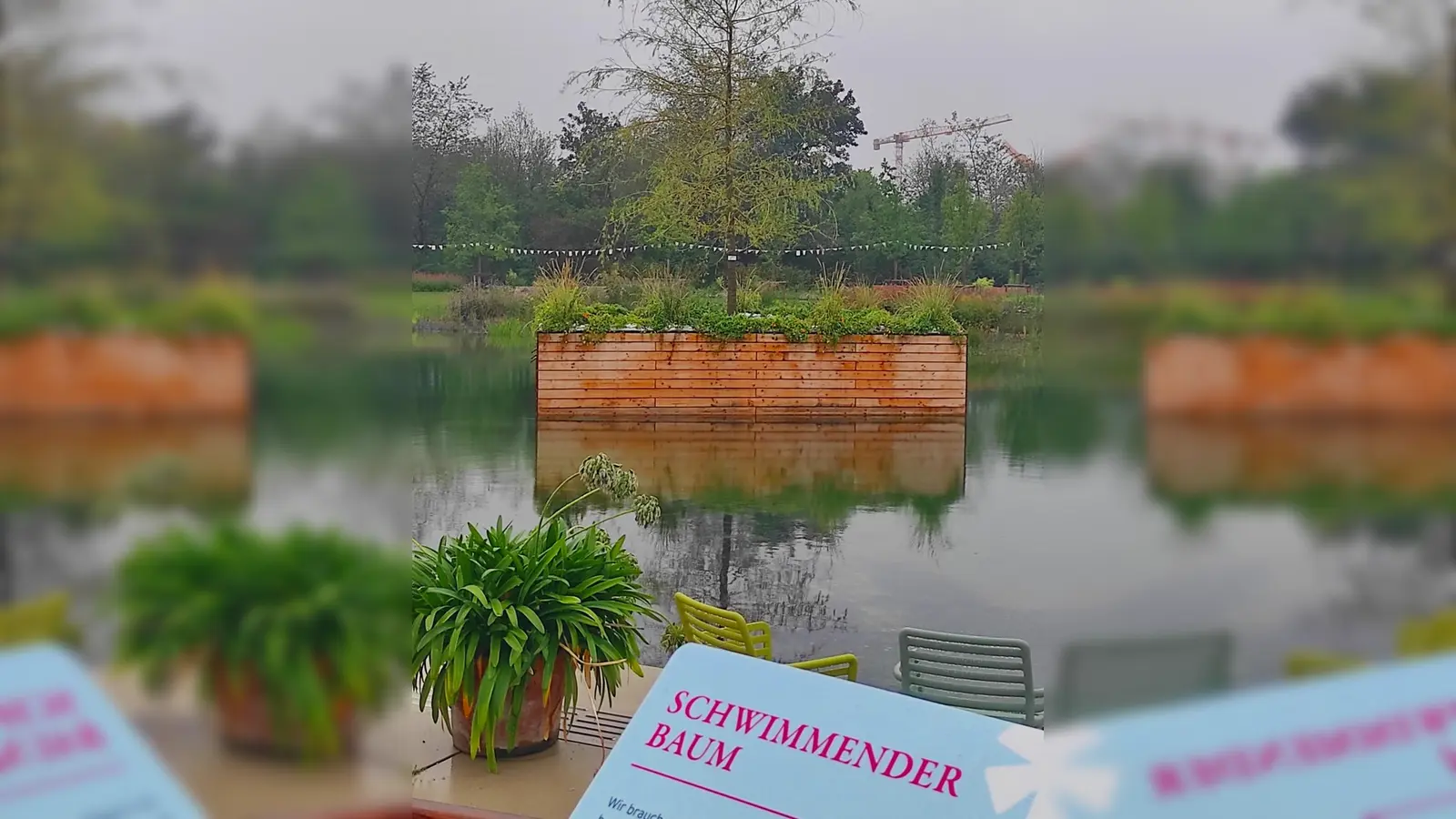 Der „schwimmende Baum” auf der Landesgartenschau in Kirchheim bei München ist eines der besonderen Highlights der Ausstellung. Es handelt sich dabei um einen Baum, der auf einer speziell angefertigten Plattform auf dem neu angelegten Parksee platziert ist und somit auf dem Wasser zu schweben scheint. (Bild: Gerhard Löckler)