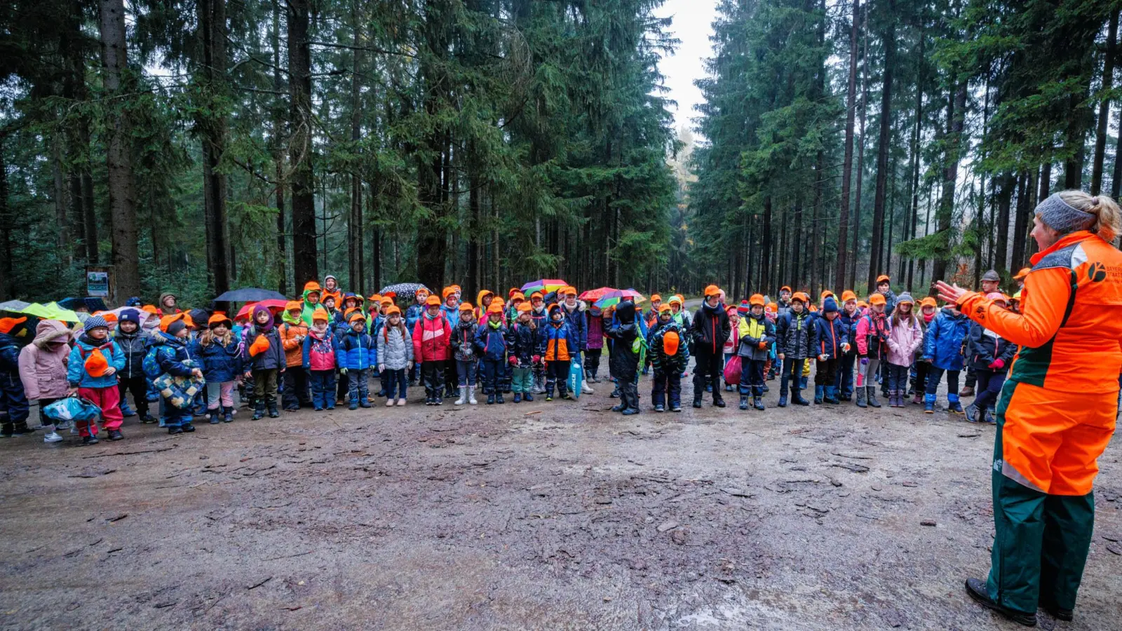 Katharina Bäcker, Försterin bei den Bayerischen Staatsforsten, begrüßte gut 100 Schülerinnen und Schüler der Grundschule in Tröstau-Nagel zur Pflanzaktion an der Kösseine. (Bild: Martin Hertel/exb)